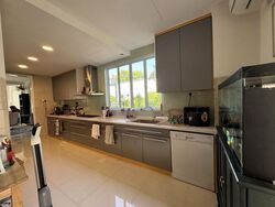 Holland Grove (D10), Semi-Detached #566720151